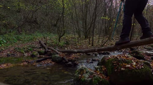 Active man crossing the river, hiking through the forest path