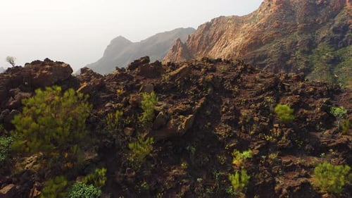 Nature Landscape