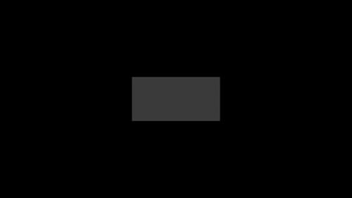 Dynamic Geometric Line Pattern Content Reveal