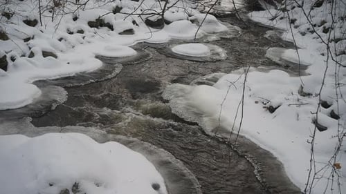 Spring thaw with flowing water beneath detailed ice edges in a forest stream