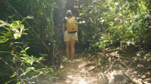 Woman Walking Through Dense and Dark Jungle Trail Surrounded by Vines and Shadows, Rear Angle, Explo