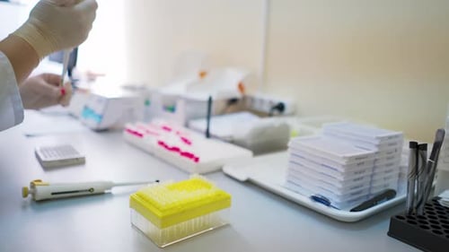 Scientist Working in a Laboratory with Pipette
