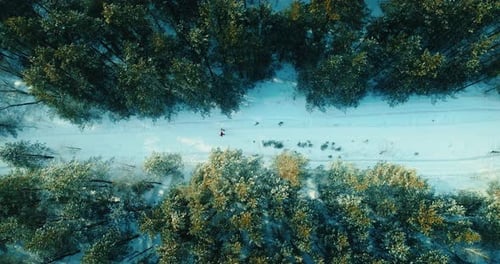 Top View on People Walking on Snowed Road in Forest in Winter Pair of Hikers in Nature Prores