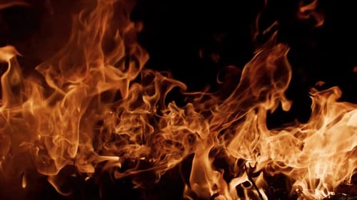 Fire Flames Moving in Darkness Fire Burning with Natural Glow Fire Blazing Cinematic Motion Fire
