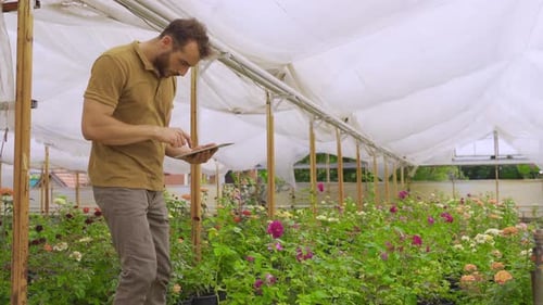 Modern Rose Farmers Walking In A Greenhouse With A Field Of Flowers.