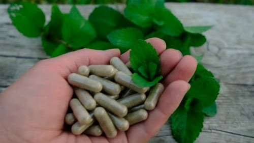 Peppermint Essential Oil in the Garden Selective Focus