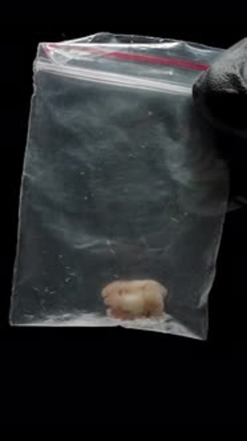 Sealed Bag Containing Unknown Object on Black Background