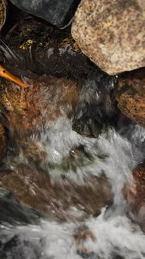 Clear Mountain Stream Flowing Over Colorful Rocks