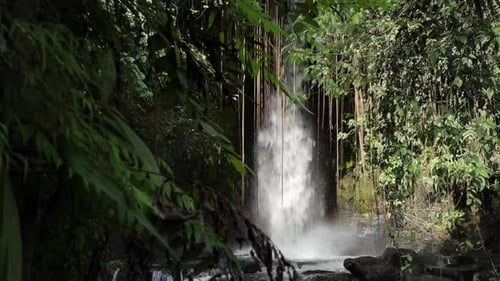 Revealing shot sumampan waterfall stream jungle, slow motion