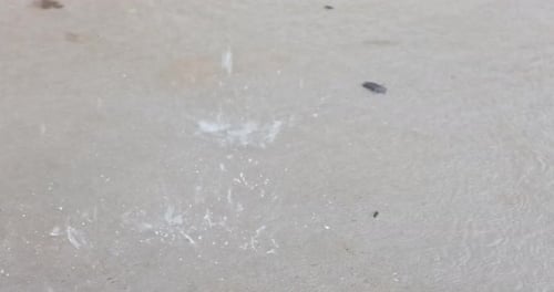 Raindrops Falling on a Surface