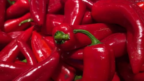 Fresh Pile of Red Peppers Close-up