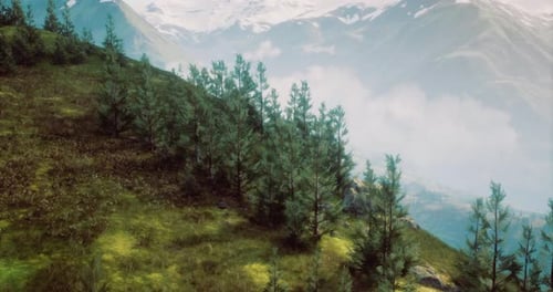 Animated Mountain Landscape with Pine Trees and Clouds