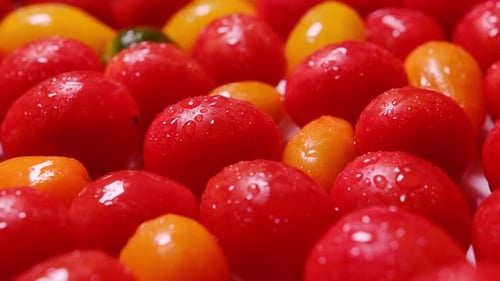 Fresh Cherry Tomatoes Rotating on White Background