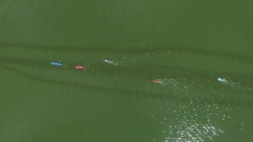 aerial top down of water race of kayakers and SUP boarders on dark green river