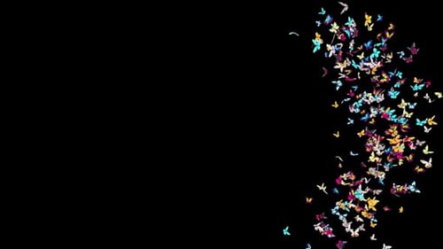 02 Butterfly Cam1 HD