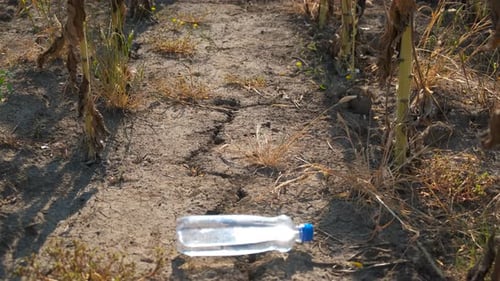 Left Water for Drought Soil During Summer