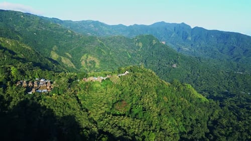 Aerial View on Forest Nature and Green Wood Trees in Landscape of Mountain Hills