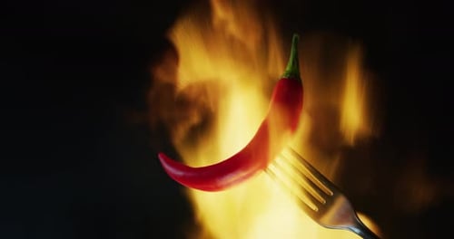 Close up of a red chili pepper holded by a fork with the fire in the background. Concept: Chili, s