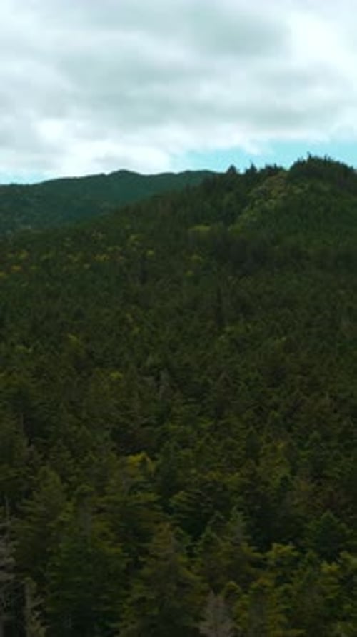 Top View of Beautiful Mountain Landscape with Forest Green Valley Clip Dense Vegetation of Green