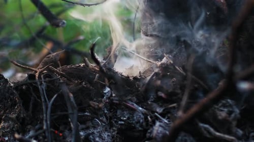 close up of smoke from land burning