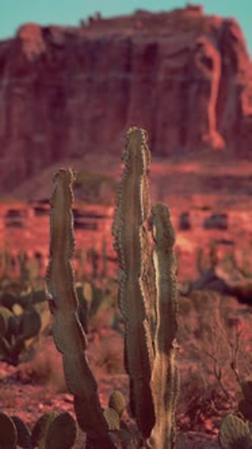 Arid Desert With Distant Mountain
