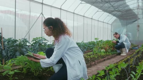 Researchers Studying Plants in a Greenhouse