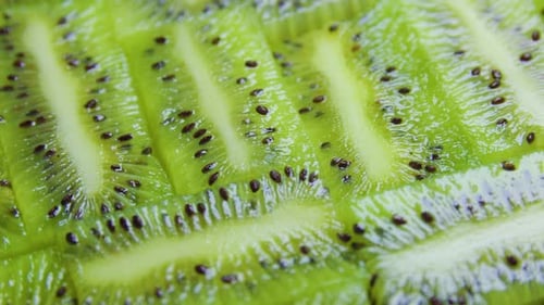 Green Citrus Fruit Slices of Kiwi on Rotating Surface