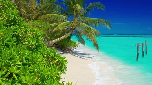 Paradise white sand beach, turquoise ocean, green palm trees and blue sky with clouds on a sunny day