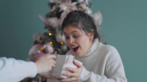 Woman Receives Christmas Gift and Reacts Happily