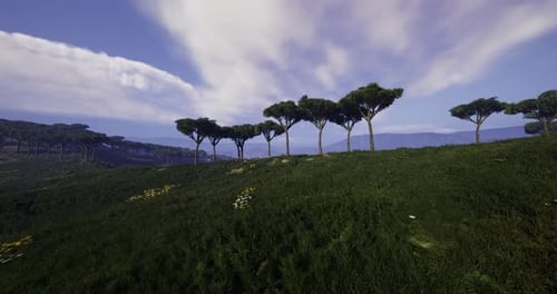 Beautiful Natural Savanna Landscape with Green Rolling Hills