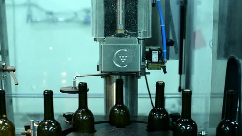 Wine Bottle Conveyor Processes Bottles in Factory Setting During Daily Production Run