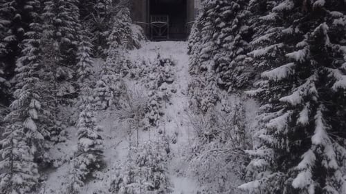 Mysterious Snowy Path Through Pine Forest Leading to Hidden Mountain Building