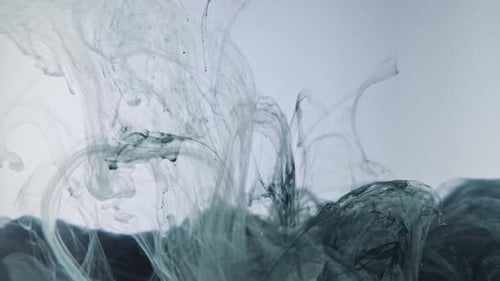 Swirling Black Ink Plumes in Water