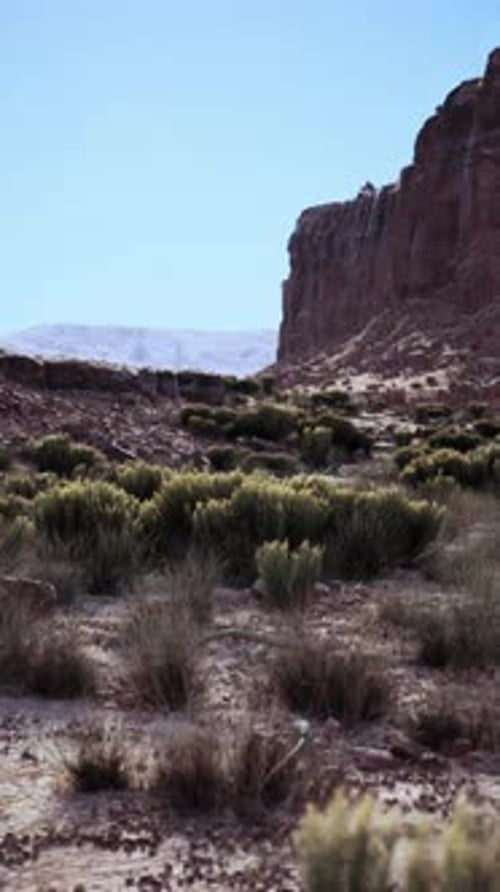 Nevada Desert With Distant Mountain