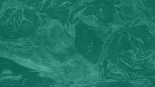 Abstract Organic Fluid Motion Background Seamless Loop