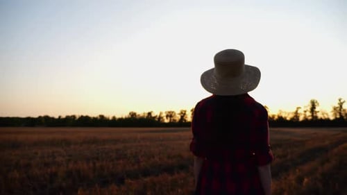 Female Farmer Going Through the Barley Plantation at Sunset Young Agronomist Walking Among Wheat