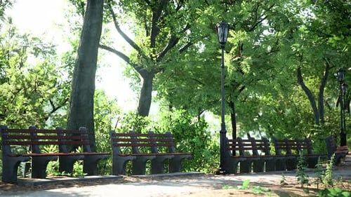Paths in the Park Zone