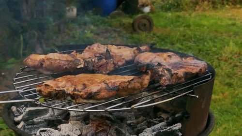 Barbecue grill close-up. Roasting juicy meat steak in burning charcoals fire on bbq grid, flames and
