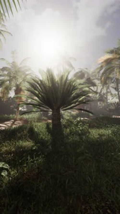 Palm Tree Standing in Grassy Field