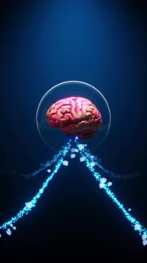 Human Brain Processing Complex Data Streams