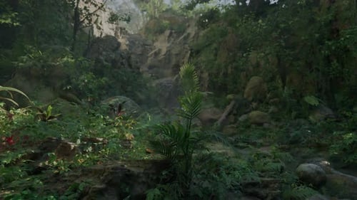 A Lush Green Forest Filled with Lots of Trees