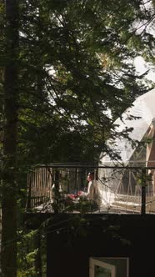 Glamping Dome Tent with Terrace in Pine Wood