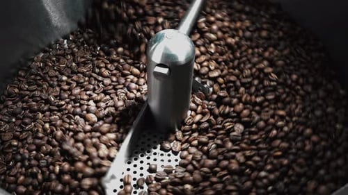 Roasted Coffee Beans Being Stirred in a Machine