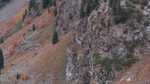 Scenic Mountain Landscape Showcasing Rocky Cliffs and Vibrant Autumn Foliage in Motion