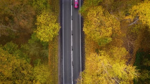 Aerial Top Down View of Lot of Car Driving Along Country Road with Fallen Yellow Leaves in Autumn
