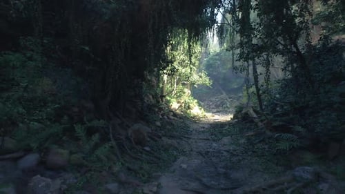 Hidden Passage Framed By Lush Moss and Vines Opening to Peaceful Retreat Area