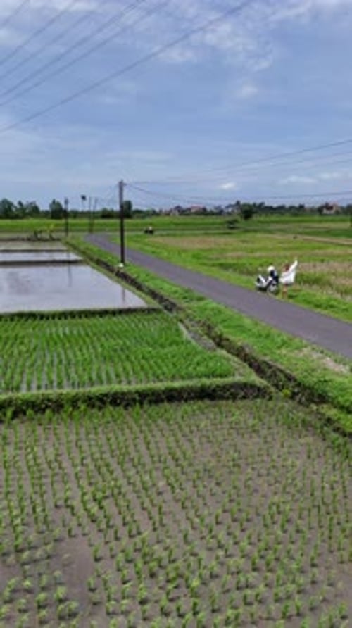 Tranquillité rurale à Kaba Kaba, Bali