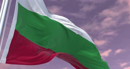 Vidéo d'Entreprise Minimale d'Animation du Drapeau de la Bulgarie
