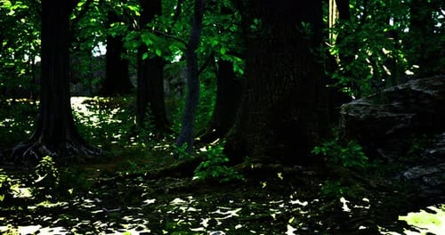 Lush Forest Landscape Showcasing Towering Trees and Vibrant Greenery