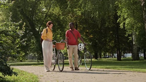 Diverse Colleagues with Bicycles Talking Walking in City Park on Sunny Day